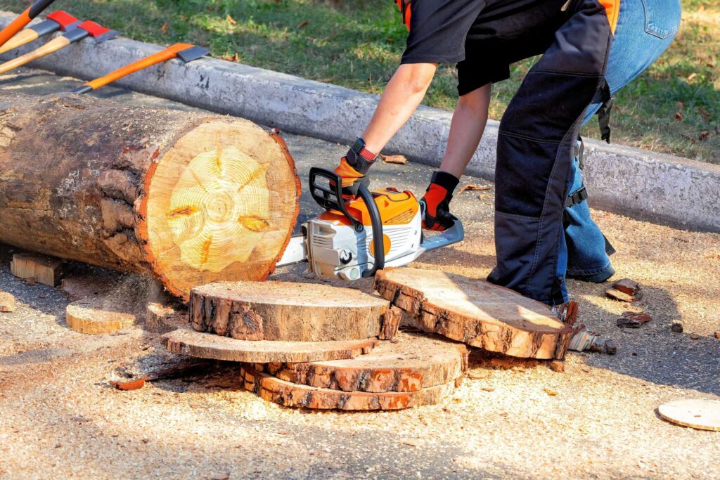 Chainsaw Safety