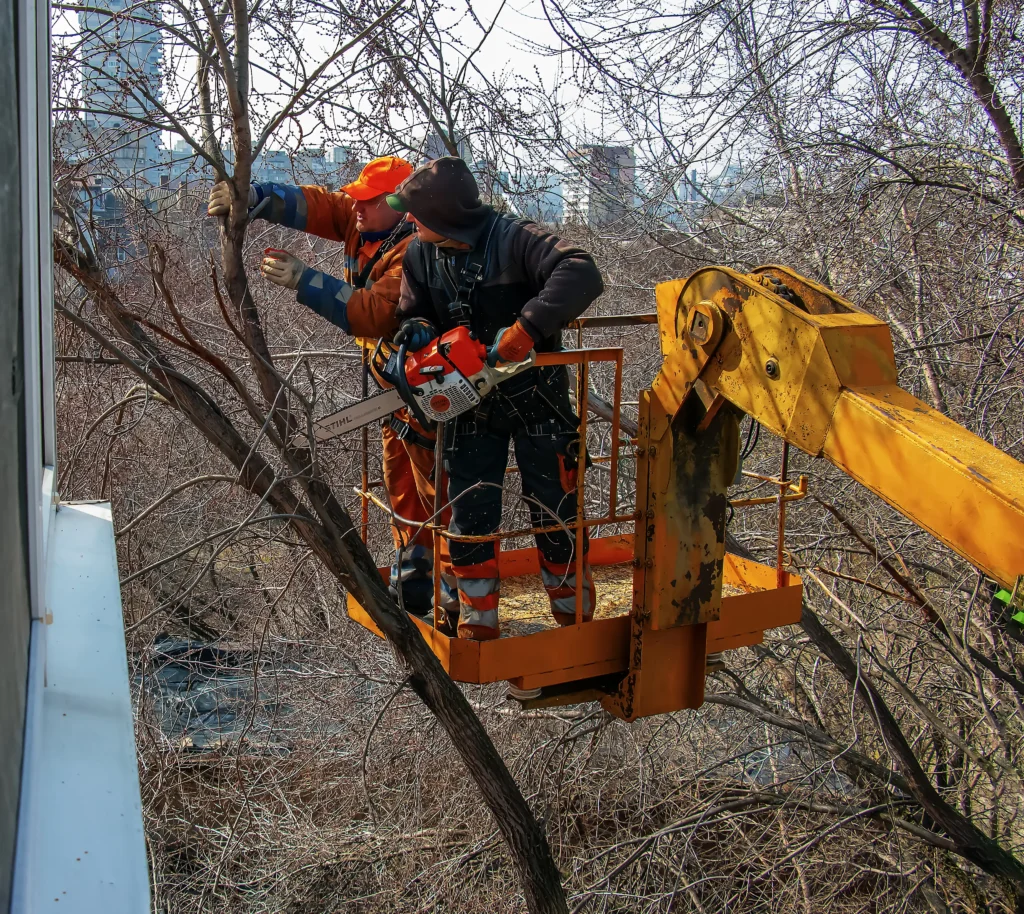 Worker using chainsaw from elevated platform while wearing full safety gear during chainsaw safety audit.